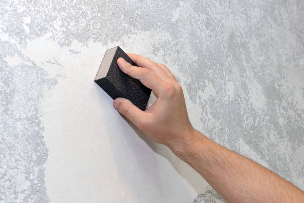 Best Commercial Mold Inspection  in Barnwell, SC