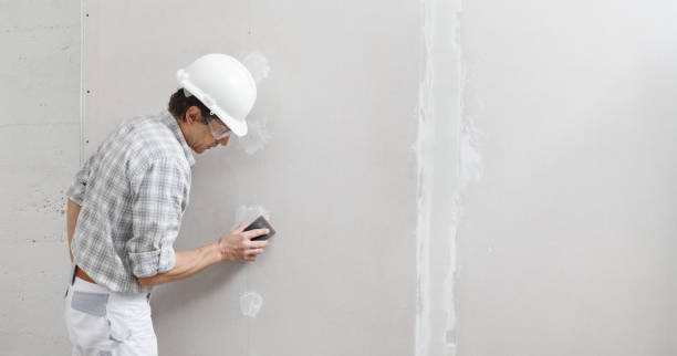 Best Attic Mold Removal  in Barnwell, SC